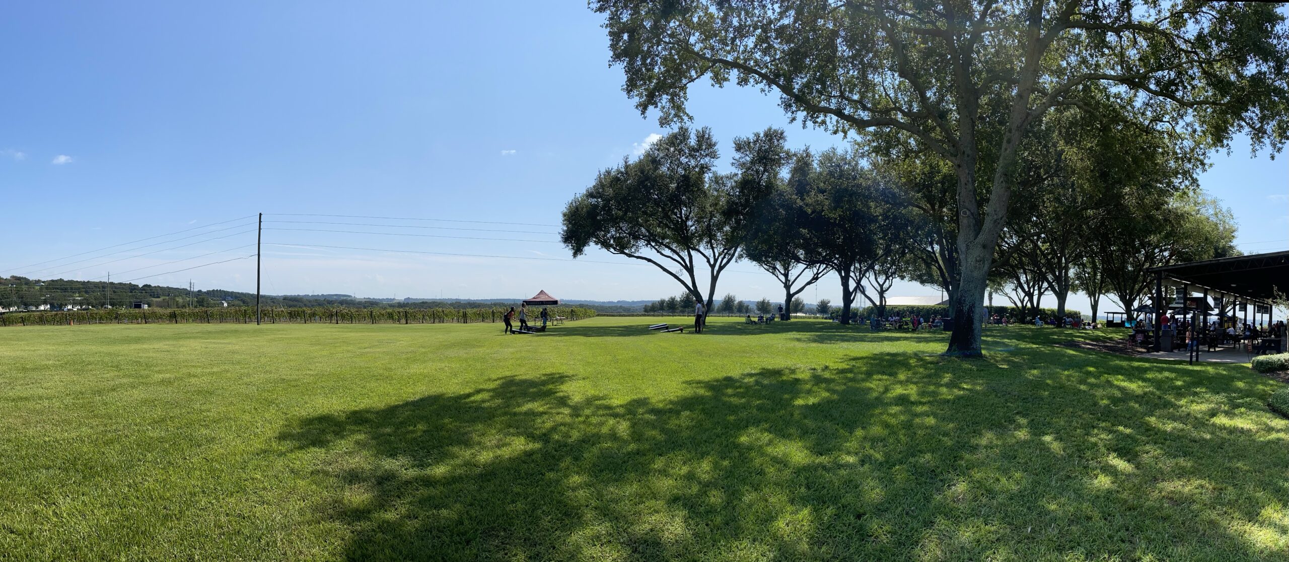 Best Things To Do in Clermont and Winter Garden, Florida Amanda Meets